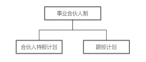 企业中长期激励设计方法