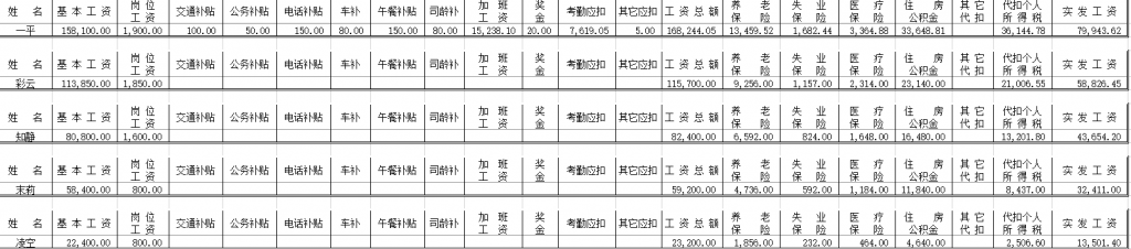 电子工资单合集免费下载