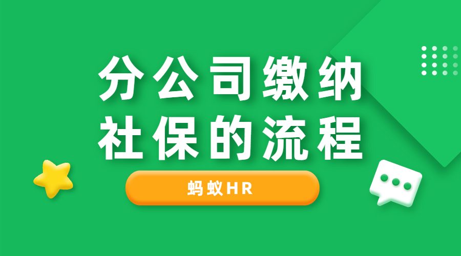 分公司缴纳社保的流程