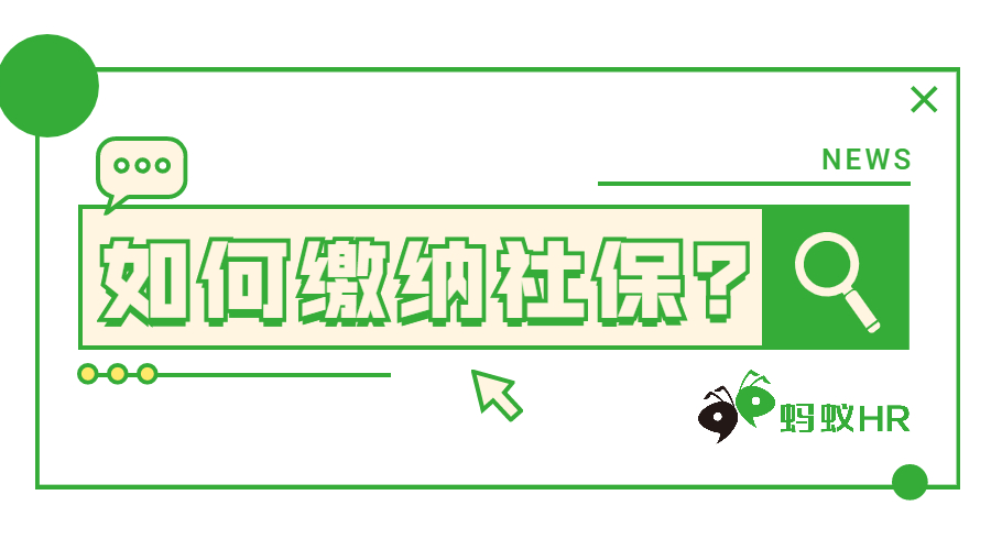 如何缴纳社保,企业社保