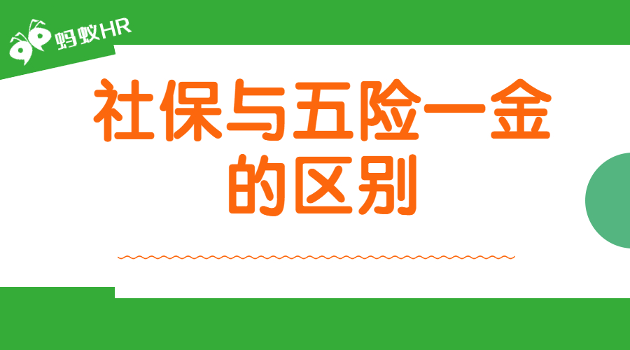 社保与五险一金有何区别？