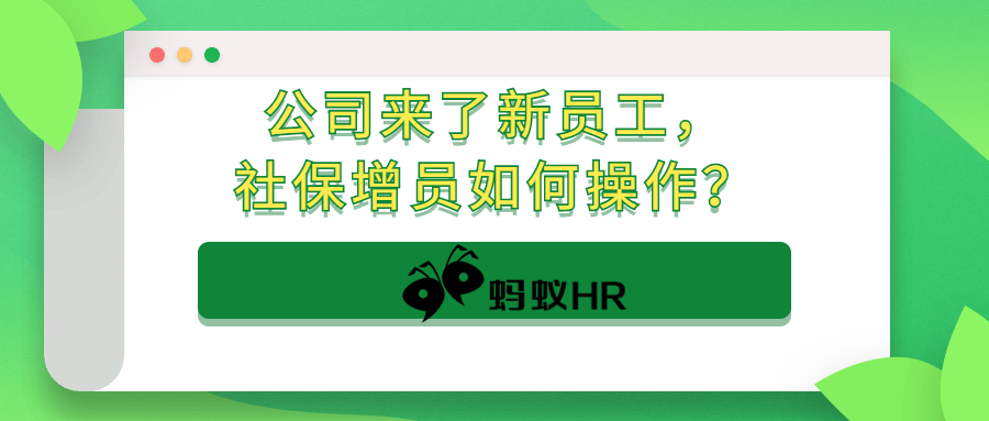 【干货】公司来了新员工，社保增员如何操作？