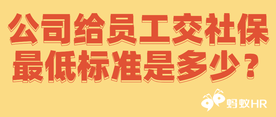 蚂蚁HR:公司给员工交社保最低标准是多少？