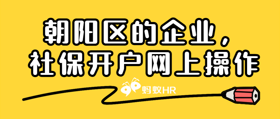 朝阳区的企业，现在要办理社保开户，请问可否网上操作？
