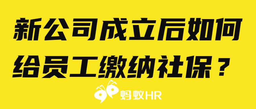 新公司成立后如何给员工缴纳社保？