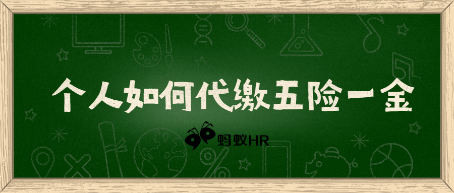 个人如何代缴五险一金，蚂蚁HR为您支招